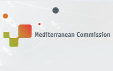 Commission Méditerranée de CGLU