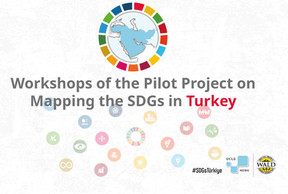  Workshops Of The Pilot Project On Mapping The Sustainable Development Goals (Sdgs) In Turkey