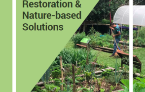 Launch of the Peer Learning Note 31: Urban Ecosystem Restoration & Nature-based Solutions