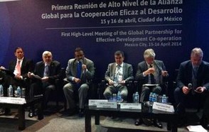  Global Partnership for Effective Development Cooperation (GPEDC)