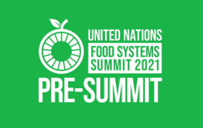 The right to food in cities and regions at the UN Food Systems Pre-Summit 