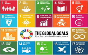 Cities are leading by example in the implementation of the Sustainable Development Goals 