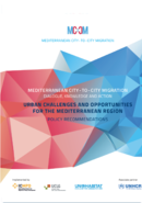 Policy Recommendations Urban Challenges and Opportunities for the Mediterranean Region 