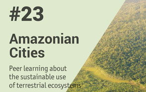 A new Peer Learning Note about the Amazon region is now online!