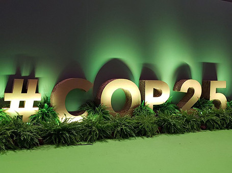 Mayors call for local involvement in national action plans at COP25