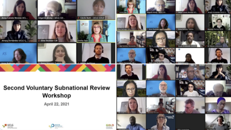 Voluntary Subnational Review Workshops